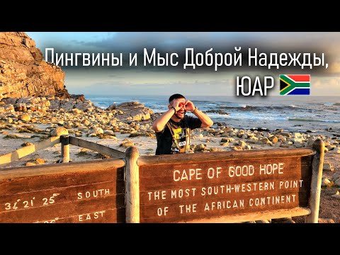 Видео: Пингвины и Мыс Доброй Надежды, ЮАР | 1 серия