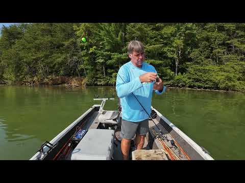 Видео: Что нужно сделать, чтобы поймать сома