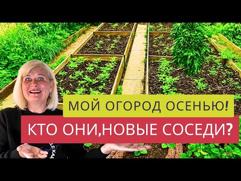 Видео: В ОГОРОДЕ ЖИЗНЬ КИПИТ!!!🌶️🥦ЖАРКАЯ НОВОСТЬ!🔥🔥🔥Кто будет моим НОВЫМ СОСЕДОМ?!?!🎉Часть 1.