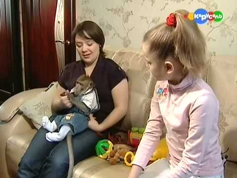 Видео: Иван в передаче на телеканале Карусель