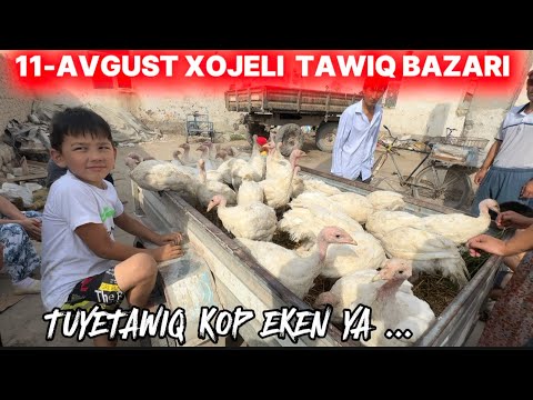 Видео: 11-АВГУСТ ХОЖЕЛИ ТАУЫК БАЗАР БАХАЛАРЫ БОДЕНЕЛЕР КЕЛДИ БИГ 6 ТУЙЕТАУЫК МАКЕН КОРАЗ ПАРОДА