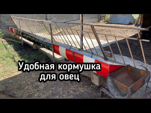 Видео: Удобная кормушка для овец Convenient sheep feeder ready #сделайсам