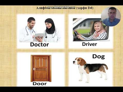 Видео: Англисӣ барои навёдгирон дарси 5