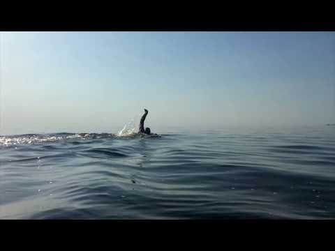 Видео: Чудское озеро