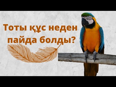 Видео: ТОТЫҚҰС НЕДЕН ПАЙДА БОЛДЫ?