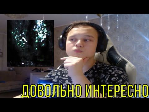 Видео: РЕАКЦИЯ НА: WARYKID, delyphia - мысли