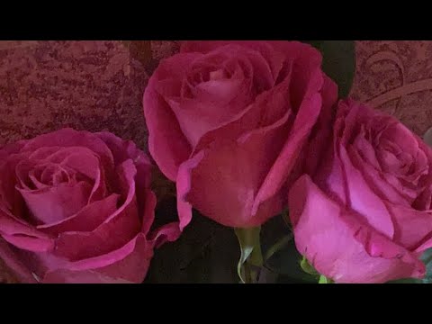 Видео: Его истинные чувства к Вам