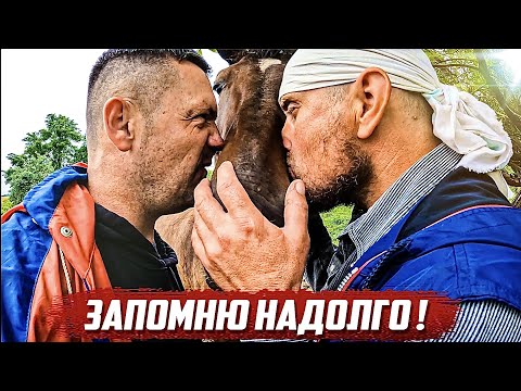 Видео: Незабываемая встреча! | Орловская обл, Глазуновский р/н с.Архангельское