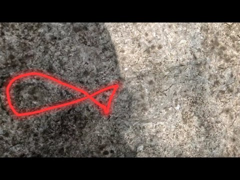 Видео: Съоръжения на първобитните хора, интересни скали, рисунки, ниши, природа и среща с пепелянка