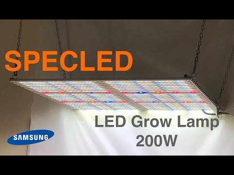 Видео: Фитолампа 200Вт Slim, Samsung LM561C, Cree, Semileds. GrowBox