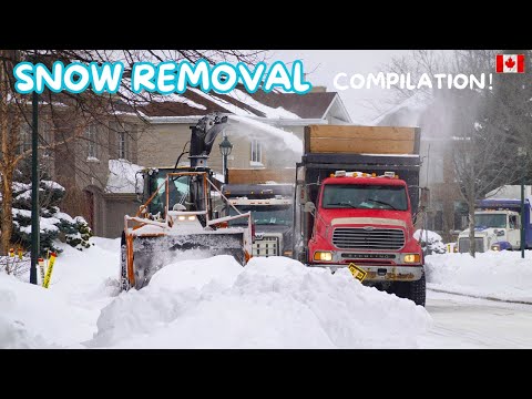 Видео: 2025 - Сбор снега и уборка свалок (1,35 часа!) в Монреале/Канада / после выпадения 75 см снега🇨🇦❄️