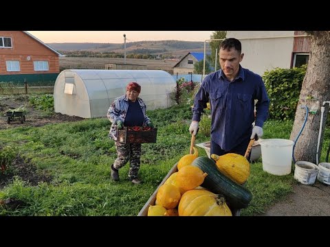 Видео: В главных ролях Гавриил 🤦// хроника сегодняшнего дня//