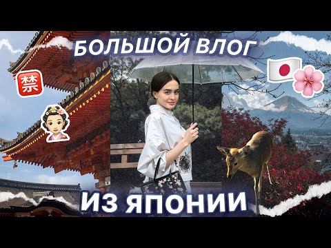 Видео: VLOG | ЯПОНИЯ | Небоскребы в Токио, гора Фудзи, олени в Нара