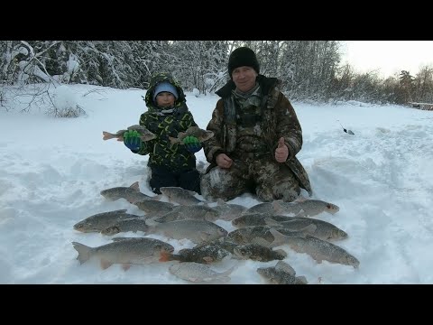 Видео: ОПОЗДАЛИ НО ТОЛСТЫХ ЯЗЕЙ И ПОЛОСАТЫХ ГОРБАЧЕЙ НАШЛИ! РЫБАЛКА НА ТАЁЖНОЙ РЕКЕ ЕТЫПУР, ГЛУХОЗИМЬЯ НЕТ!