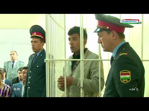 Видео: Мурофиа: Муомилоти ғайриқонунии маводи нашъадор | Murofia