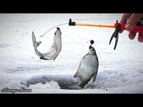 Видео: Зимняя рыбалка. СЧАСТЬЕ РЫБАКА, когда нашёл рыбу. Ловля белой рыбы и окуня. Отличный клёв.