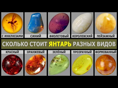 Видео: СКОЛЬКО СТОИТ ЯНТАРЬ | ЦЕНА ЯНТАРЯ РАЗНОГО ЦВЕТА И ВИДА | РЕДКИЙ ЯНТАРЬ