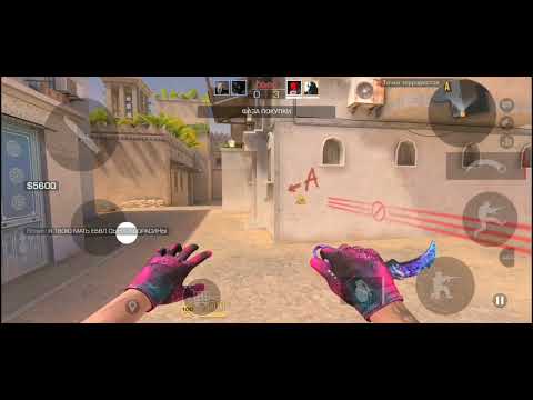 Видео: 3 ноября 2025 г.