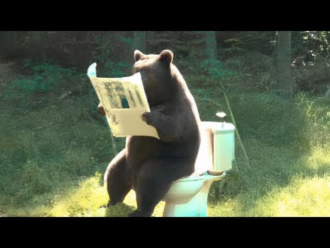 Видео: Чтобы обрести покой, вы должны принять хаос