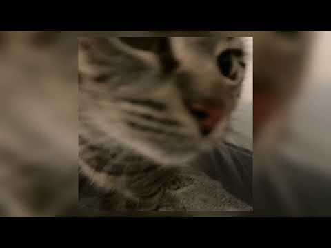 Видео: bahroma - на глубине (speed up)