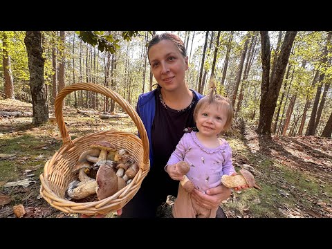 Видео: Белые Грибы Растут Прямо Возле Дома в Южной Каролине! Огромный Улов!