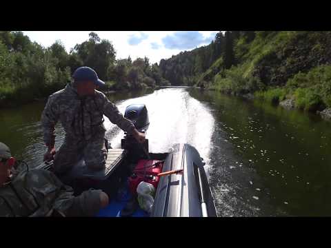 Видео: р.Томь-Нижняя Терсь, Солар 470, Ловим Хариуса