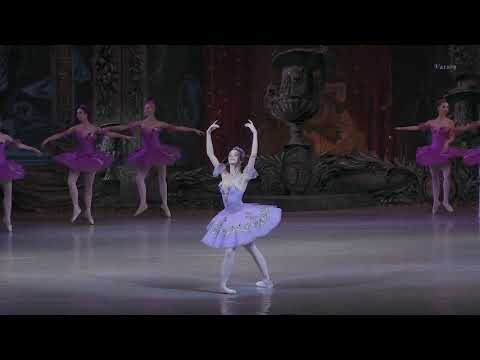 Видео: Sleeping Beauty Кухар - Стоянов