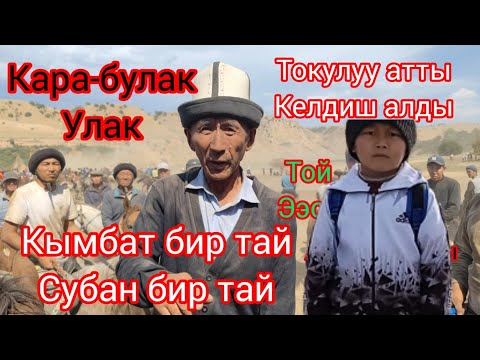 Видео: Кара-булактагы улак