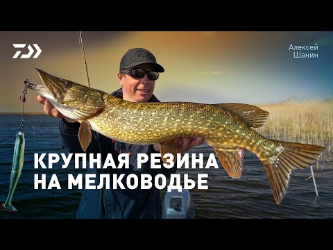 Видео: КРУПНАЯ РЕЗИНА НА МЕЛКОВОДЬЕ