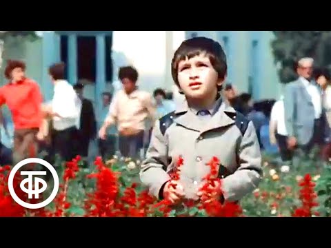 Видео: Правда великого народа. Фильм 2. Семья (1982)