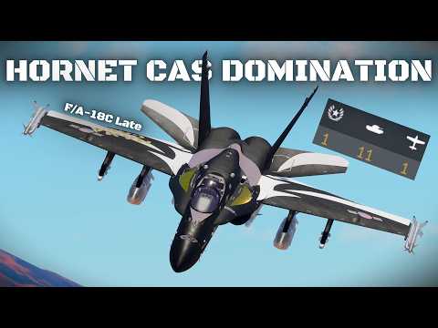 Видео: РАБОТАЕТ ЛИ F-18 CAS? (F/A-18C Late CAS)
