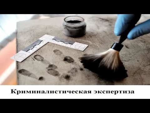 Видео: Криминалистическая экспертиза