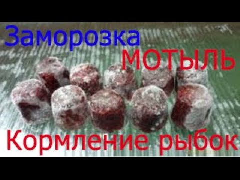 Видео: Кормление рыбок мотылем Мороженый мотыль Корм для рыбок