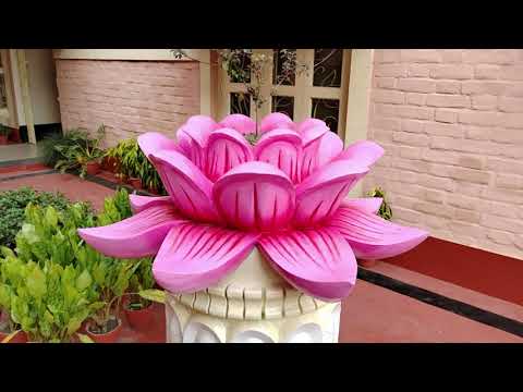 Видео: Славный город Маяпур