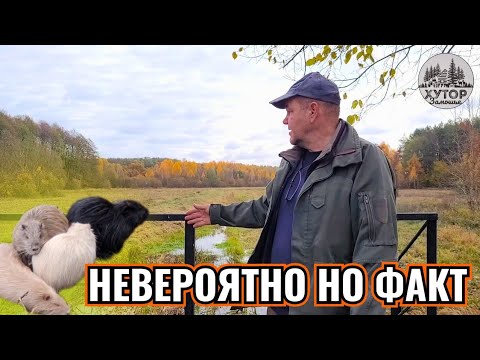 Видео: ЗРИТЕЛИ ЭТОГО ДОЛГО ЖДАЛИ. НЕВЕРОЯТНО НО ФАКТ.