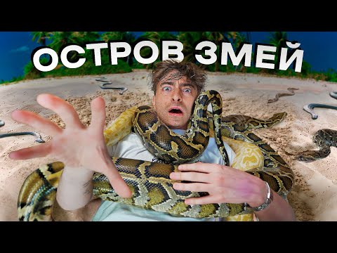 Видео: ОСТРОВ ЗМЕЙ!*проникли в самое опасное место в мире*