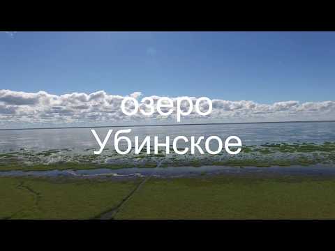 Видео: озеро Убинское
