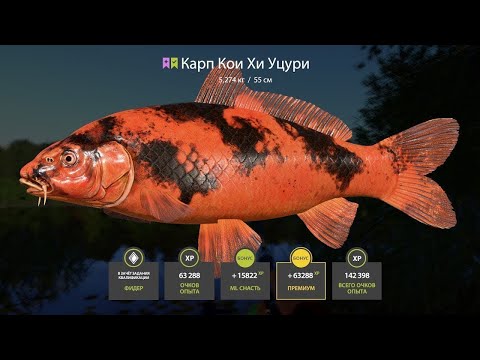 Видео: 🐠ОПАЗДУНЬЯ ИДЕТ НА МЕДНОЕ В ПОИСКАХ ФАРМА🐠СТРИМ РУССКАЯ РЫБАЛКА 4🐠РОЗЫГРЫШИ РУЛЕТОК