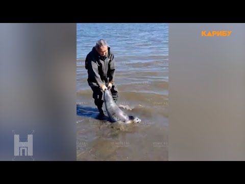 Видео: Народный патруль 16.09.2025