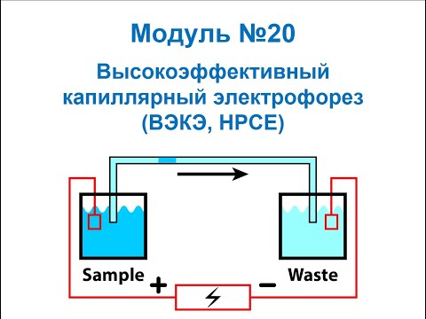 Видео: Анализ и контроль качества на фарм. про-ве. Высокоэффективный капиллярный электрофорез - ВЭКЭ