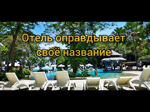 Видео: Отель Кози бич. Скудный шведский стол. 🌴 Cosy beach. #тайланд2024 #паттайя