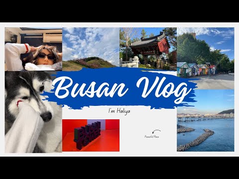 Видео: Бусан хотын заавал очиж үзэх ёстой газрууд🇰🇷📍|Solo trip to Busan 🩵|