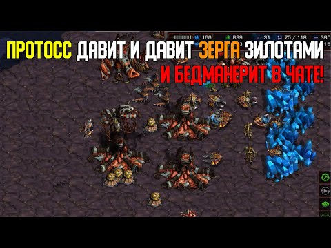 Видео: Старкрафт P VS Z Давление зилотами от протосса  по всей карте!