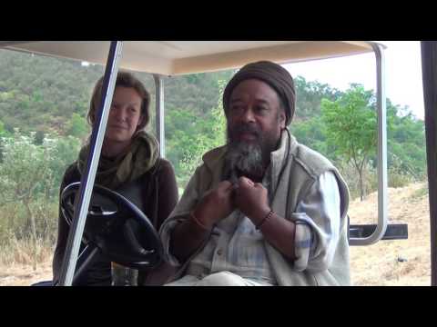 Видео: Наивысший выбор