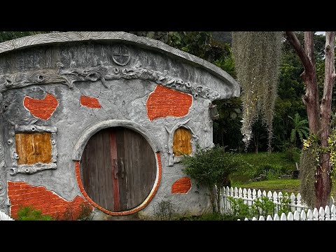 Видео: Кафе с животными Пхукет