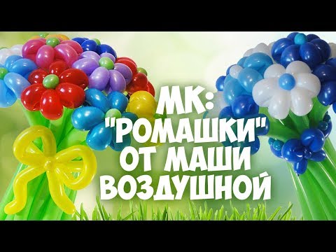 Видео: Ромашка из шаров.