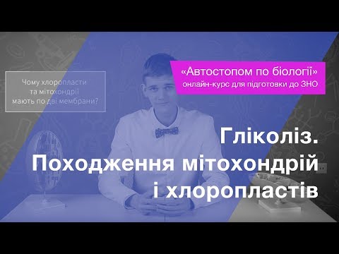 Видео: Гліколіз. Походження мітохондрій і хлоропластів – Підготовка до ЗНО – Біологія