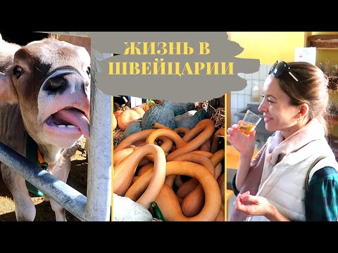 Видео: Магазины основанные на доверии | Жизнь в деревне в Швейцарии