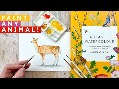 Видео: Откройте для себя секреты рисования очаровательных акварельных оленей и лесных животных