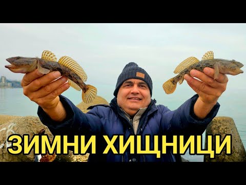 Видео: Тайна стръв за едри попчета Лихнус в края на декември! Дава само едро!